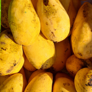 Sindhri Mango Per kg