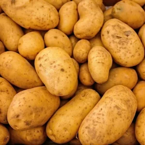 potato